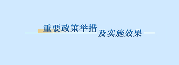 重要政策舉措及實施效果